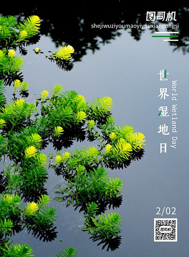 水保护环境世界湿地日海报