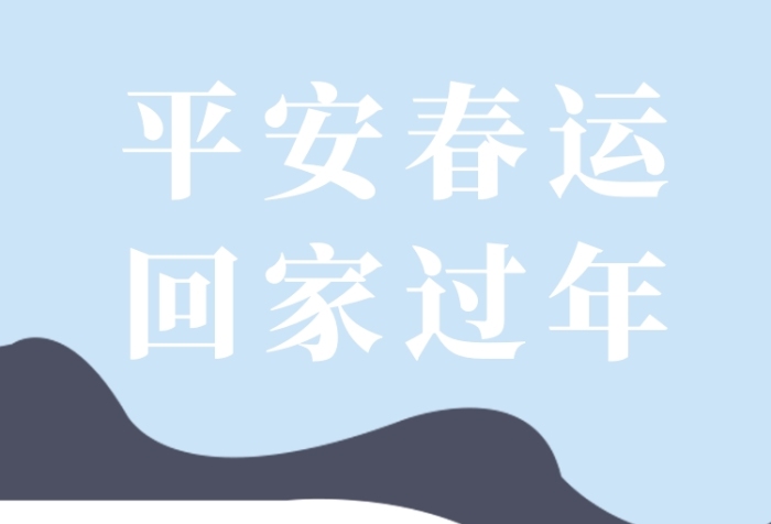 插画2020年平安春运安全出行手机海报