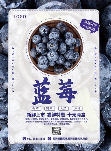 水果蓝莓促销海报