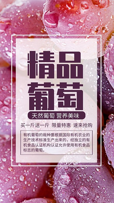 简约摄影风精品葡萄水果宣传手机海报