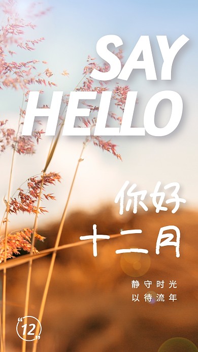 最期待的十二月你好海报