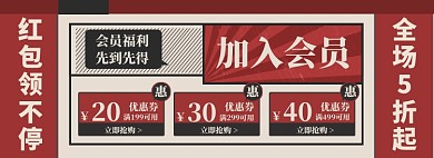 双12优惠券海报banner