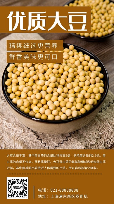 简约大气优质大豆手机海报