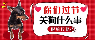 光棍节脱单攻略公众号首图