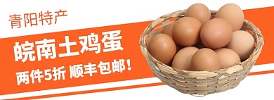 土特产土鸡蛋促销打折海报