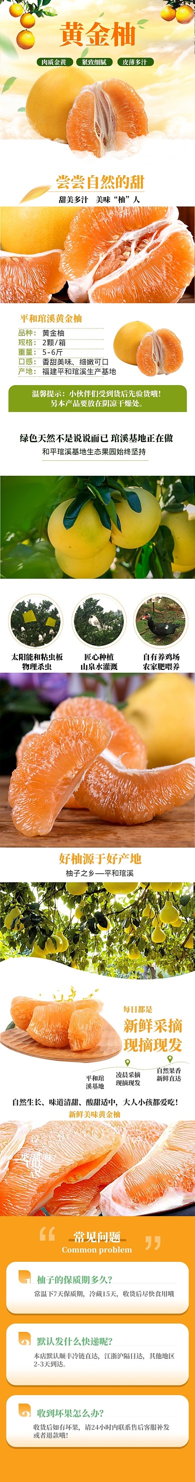 清新风格红心蜜柚详情页