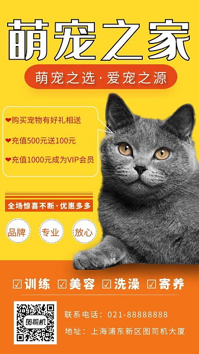 橘色摄影画风宠物店服务项目海报