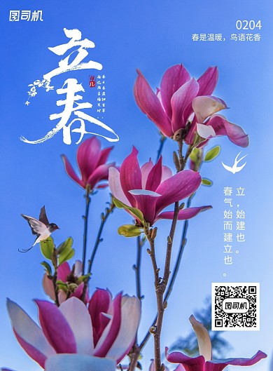 简约二十四节气立春海报