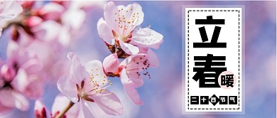 粉紫色春天樱花自然花开节气立春微信公众号素材图片
