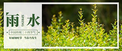雨水节气公众号首图
