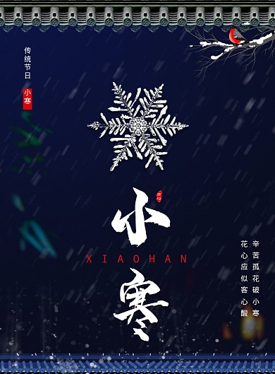 冬季小寒节气海报