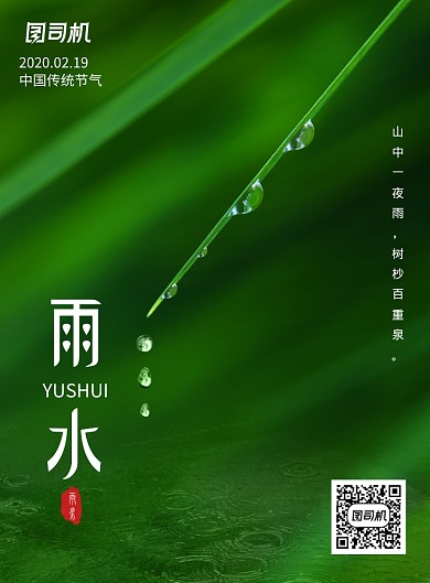 简约雨水传统节气海报