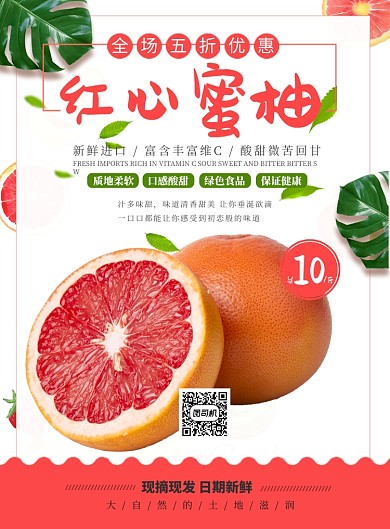 红心蜜柚促销海报