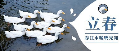 简约立春节气公众号首图