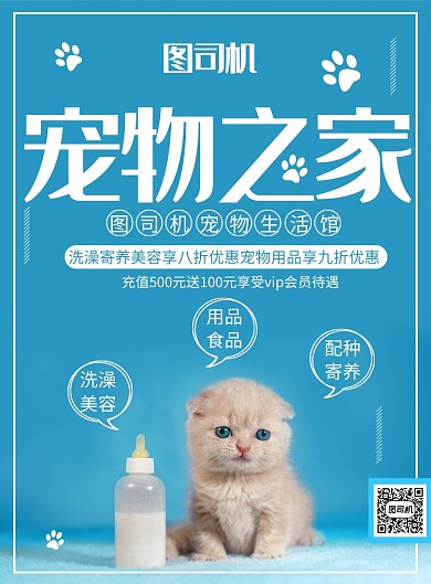 潮流时尚宠物之家蓝色宣传印刷海报