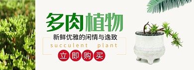 简约风多肉植物专场淘宝banner