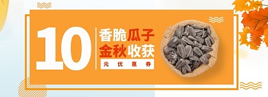 优惠券秋天瓜子食品促销海报