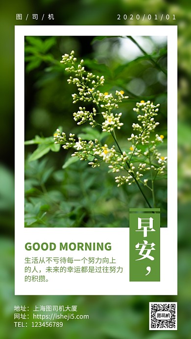 唯美早上打卡日签月签手机海报