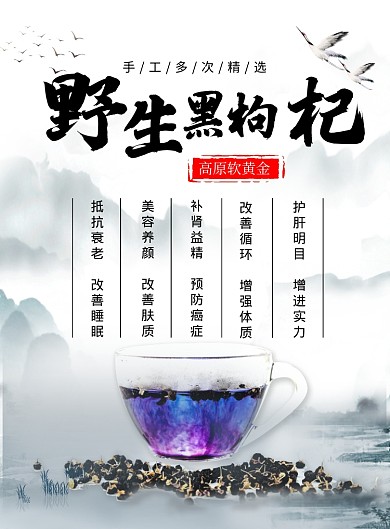 中国风野生黑枸杞美食宣传海报