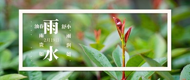 雨水节气公众号首图