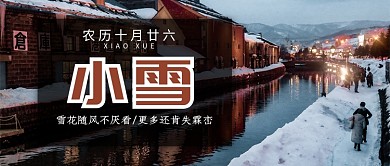 风景节气小雪雪花随风不厌看公众号首图