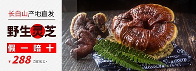 灵芝野生假一赔十促销简约海报