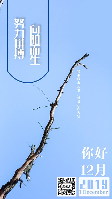蓝色简约摄影图月签海报