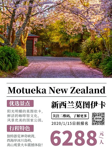 简约大气时尚新西兰旅行宣传海报