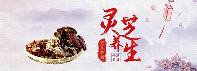 天猫中药养生灵芝限时优惠活动淘宝banner