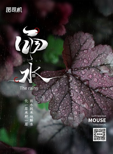 二十四节气雨水宣传海报