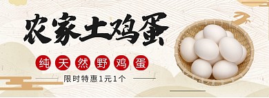 农家土鸡蛋淘宝banner