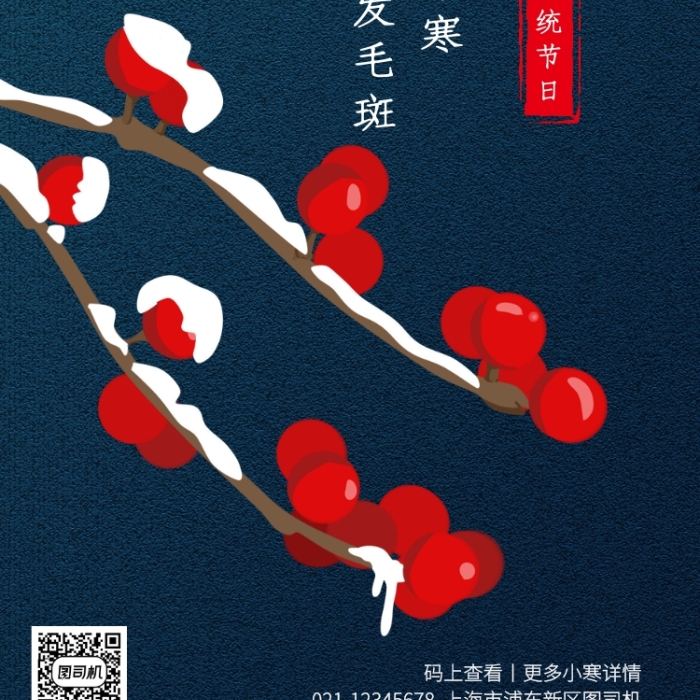 质感插画小寒传统节气手机海报