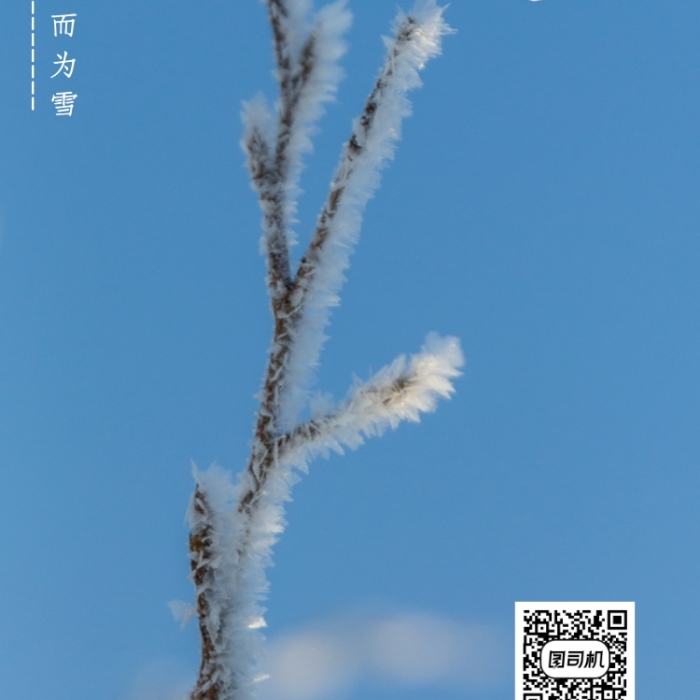 摄影风简约小雪传统节气手机海报