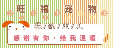 扁平感谢信宠物领养公众号首图