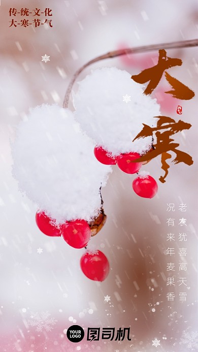 二十四节气大寒启动页海报