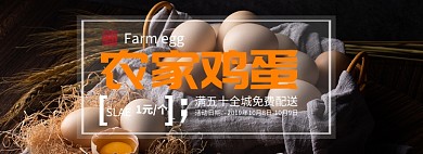 农家土鸡蛋淘宝banner