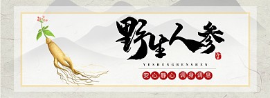 野生人参淘宝banner
