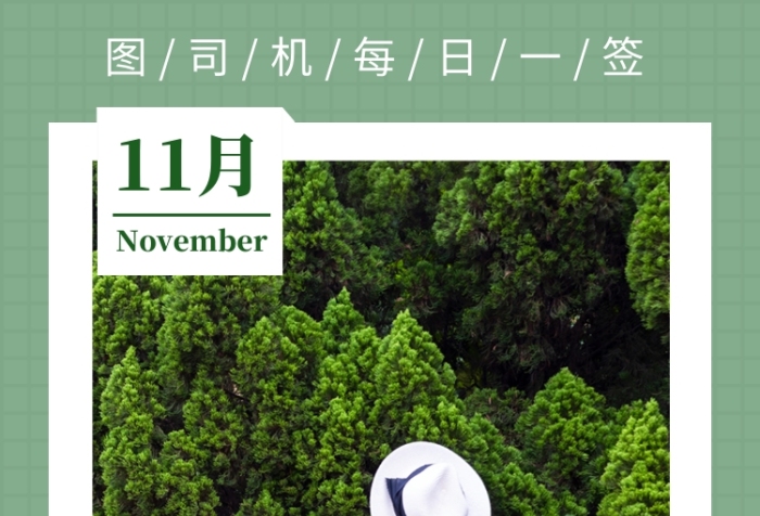 绿色清新简约十一月你好月签手机海报模板