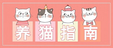 养猫指南公众号首图