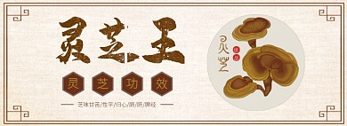 灵芝王淘宝banner
