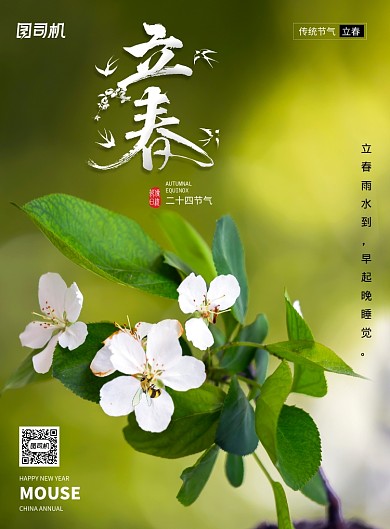 简约传统立春节气海报