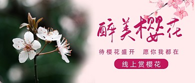 醉美樱花线上赏樱花手绘公众号首图