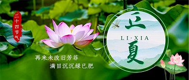 立夏荷花新媒体首图