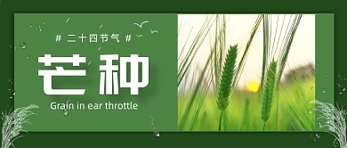芒种节气传统中国风公众号首图