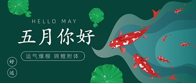 运气爆棚锦鲤附体