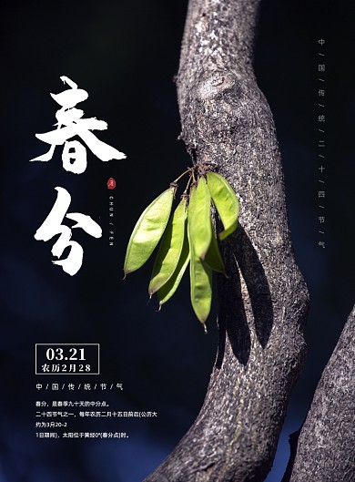 春分节气印刷海报