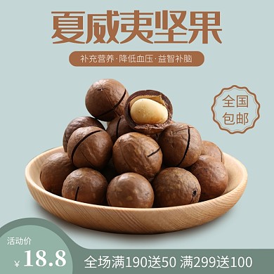 夏威夷坚果水果电商直通车主图