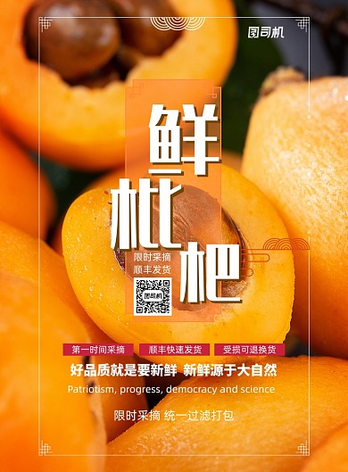 新鲜枇杷时令水果美食宣传海报