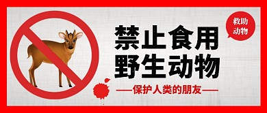禁止食用野生动物手绘公众号首图