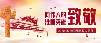 国际维和人员日党建公众号首图